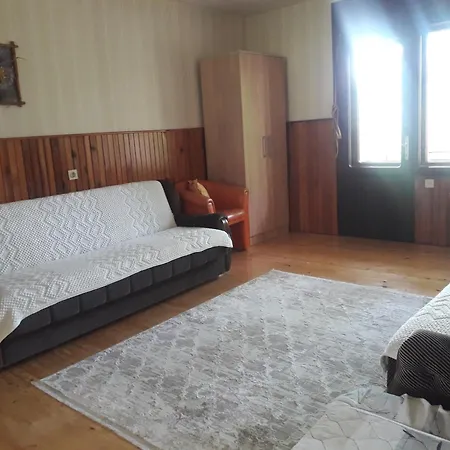 Trtovic Villa *