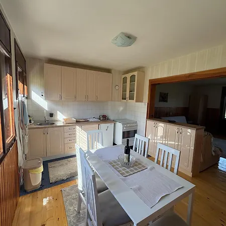 Villa Trtovic *