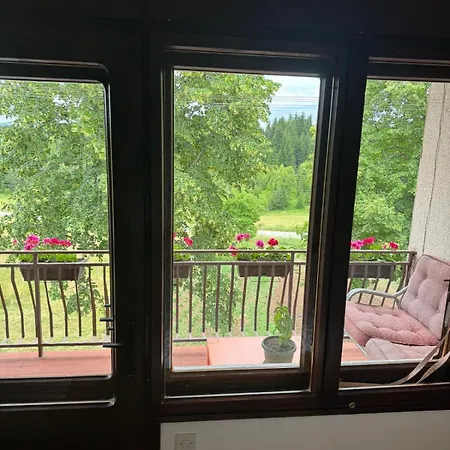 Trtovic Villa Nova Varoš